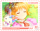 ccsakura-sakura11