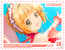 ccsakura-sakura18